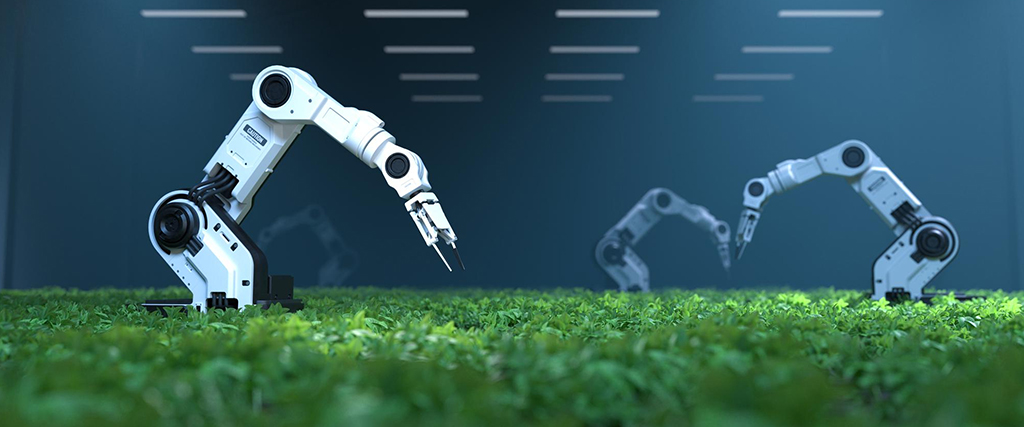 A guide - Best use of AI in agriculture